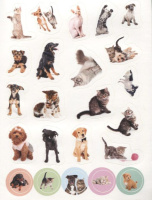 Альбом наклеек А5 8 стр., "100 наклеек. Кошки и собаки"