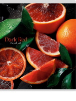 Тетрадь А5 48л кл. Проф-Пресс "Фрукты и ягоды - 3" обл.мел.бум.