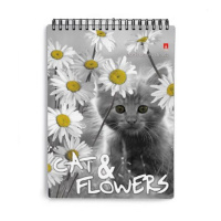 Блокнот А6  40л гребень "Котята" клетка