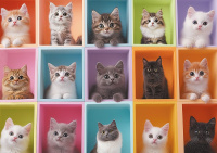 Пазлы 1000 элементов  470*670мм. "Ящики с сюрпризом"