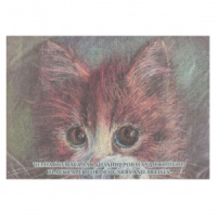 Рисовальная бумага А3 (297*420мм) 10л. пл. 200 г/м ЧЕРНАЯ