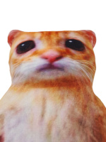 Мягкая игрушка 28см "Кот Мем"