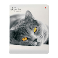 Тетрадь А5 48л  кл.,  "Кошки. Яркий взгляд" микс в спайке