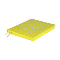 Набор Ежедневник недат. А5 кожзам., мягк.пер., 120л. + ручка "Виннер лаймовый" ляссе