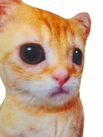 Мягкая игрушка 40см "Кот Мем"