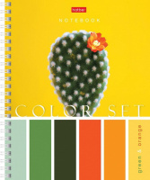 Тетрадь А5  80л кл. гребень Hatber "Color Set" 4 диз.в блоке, белизна 98%