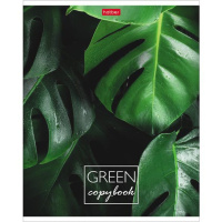 Тетрадь А5  96л кл.  "MOREgreen"
