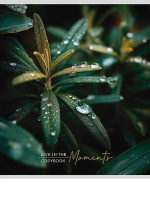 Тетрадь А5 48л кл. Проф-Пресс "Растительная тема" обл.мел.бум.