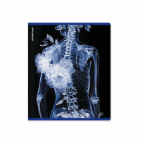 Тетрадь А5 48л кл. Erich Krause "Flower Ray", металлизир.голография MIX-PACK