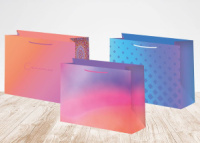 Пакет подар. бумажн. 23*18*10см, 140гр/м Микс