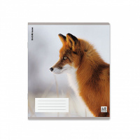 Тетрадь А5 48л кл. Erich Krause  "Лисы", пластик обложка, ассорти MIX-PACK