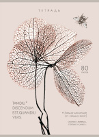 Тетрадь А4  80л кл. скоба ПЗБМ "Латынь" софт-тач, брайль, белизна 100%