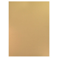 Картон цв. А4 10цв. 10л. (зол.+сер.) мелов., одностор., пл.200 гр/м2 "Коты и кристаллы"