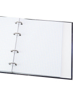 Тетрадь А5 120л кл. на кольцах Проф-Пресс "Мотыльки и цветок" твин-лак, хол.фольга, белизна 100%