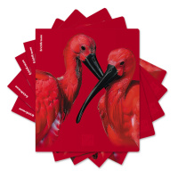 Тетрадь А5 48л кл. Erich Krause Scarlet", ламинация soft-touch+выборочный УФ-лак_MIX-PACK