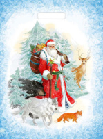 Пакет 45*38см (60мк) с вырубной укрепл. ручкой "Зимний гость" Ламинат