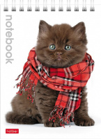 Блокнот А6  40л "Милые котята", гребень