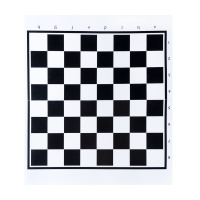 Шашки 29*33см пластик, в пакете