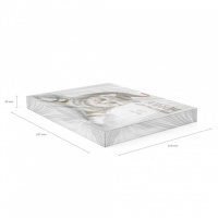 Альбом А4 40л  клеевой кор. "Tabby"