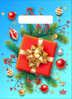 Пакет 25*19см (30мк) с вырубной ручкой "Красный подарок" ПВД