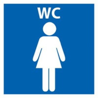Наклейка информационная "Женский туалет" 106*106мм