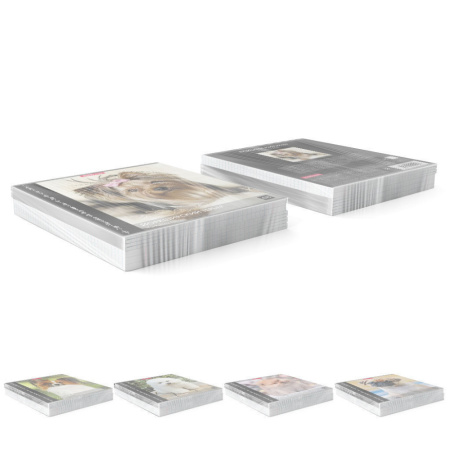 Тетрадь А5 48л кл. Erich Krause " Энциклопедия, Собаки мини-пород"