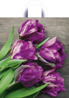 Пакет 43,5*38см (35мк) с петлевой ручкой "Прекрасные тюльпаны" ПВД