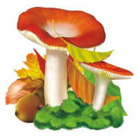 Украшение на скотче 10*12см "Сыроежка "