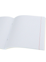 Тетрадь А5 48л кл. Проф-Пресс "Эстетика панельных домов - 1" лен