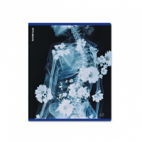 Тетрадь А5 48л кл. Erich Krause "Flower Ray", металлизир.голография MIX-PACK