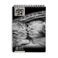 Блокнот А5  40л гребень "Кошки" клетка