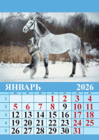 Календарь на магните отрывной  96*135мм на 2026г.  Год лошади. Вид 1