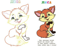 Книжка-раскраска 205*285мм  12стр."В лесу"