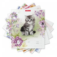 Тетрадь А5 12л кл. Erich Krause "Мурзики"