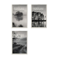 Блокнот А6  40л "Природа" скрепка, клетка, ассорти