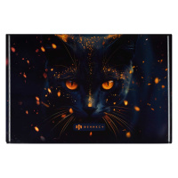 Конверт на кнопке  с рисунком А4 (335*230мм) Кот-маг