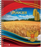 Тетрадь А5  96л кл. гребень Полином "Родные Просторы" выб.УФ-лак