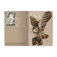 Записная книжка А5  40л. картон, мягк.пер. "Fauna. Волшебные совы" кл.