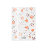 Набор из 4 папок- уголков  А4 Martian Girl, ассорти