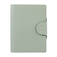 Ежедневник недат. А5 136л., кожзам, мягк.пер., гребень "Torino. Мятный моранди" кнопка