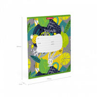 Тетрадь А5 24л лин. Erich Krause "Lime"