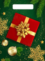 Пакет 30*20см (30мк) с вырубной ручкой "Новогодний подарок" ПВД