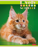 Тетрадь А5  60л кл. Hatber "Все любят котиков" белизна 98%