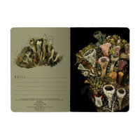 Записная книжка А6  32л. картон, мягк.пер. "Flora. Эльфийский лес лин.