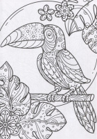 Раскраска-антистресс А4, 48стр. "Энергия вселенной"