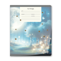 Тетрадь А5 12л кл. Светоч пласт.обл. "Ночные грёзы"