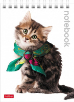 Блокнот А6  40л "Милые котята", гребень