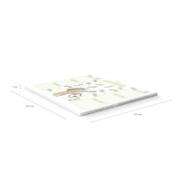 Расписание уроков А3 "Busy Dogs"