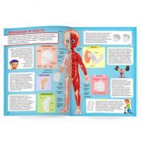Книга "Атлас с наклейками. Тело человека" А4 16стр.