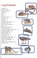 Книжка А4  32стр. "Энциклопедия. В мире знаний. Необычные животные"